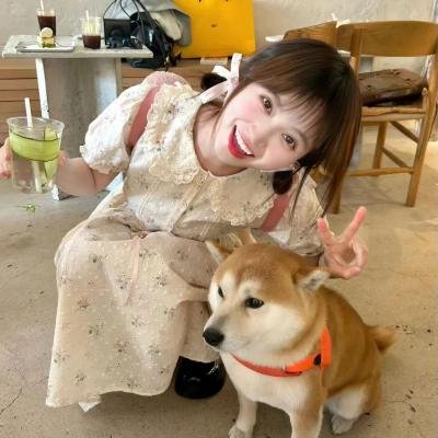 羊城风暴