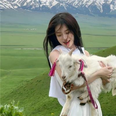 哥斯拉大战机械哥斯拉